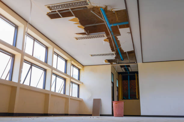 Best Water damage contractors near me  in East Harwich, MA