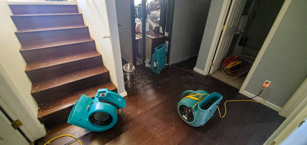 Best Flood restoration services  in East Harwich, MA