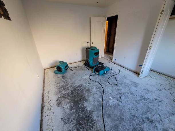 Water damage restoration mold remediation in MA