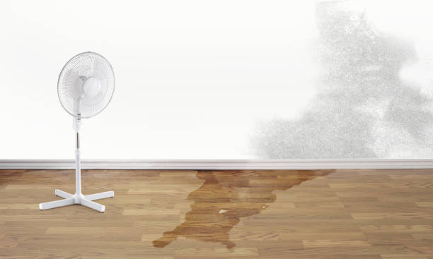 Best Local water damage restoration  in East Harwich, MA