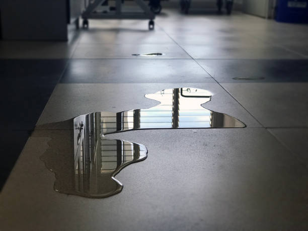 Best 24/7 water damage repair  in East Harwich, MA