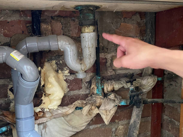 Best Water damage cleanup near me  in East Harwich, MA