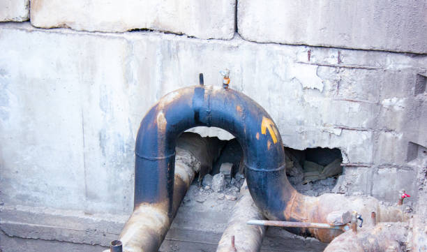 Best Mold removal after water damage  in East Harwich, MA