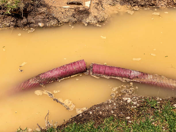 Trusted MA Water damage restoration Experts