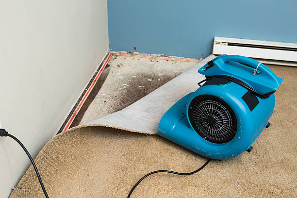 Best Water damage restoration experts  in East Harwich, MA